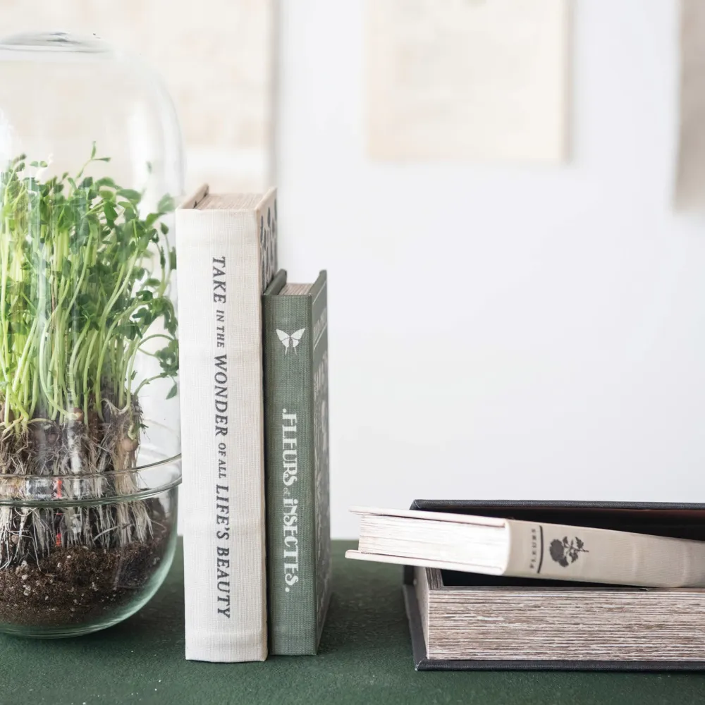Decorative Book Storage Boxes {multiple styles}