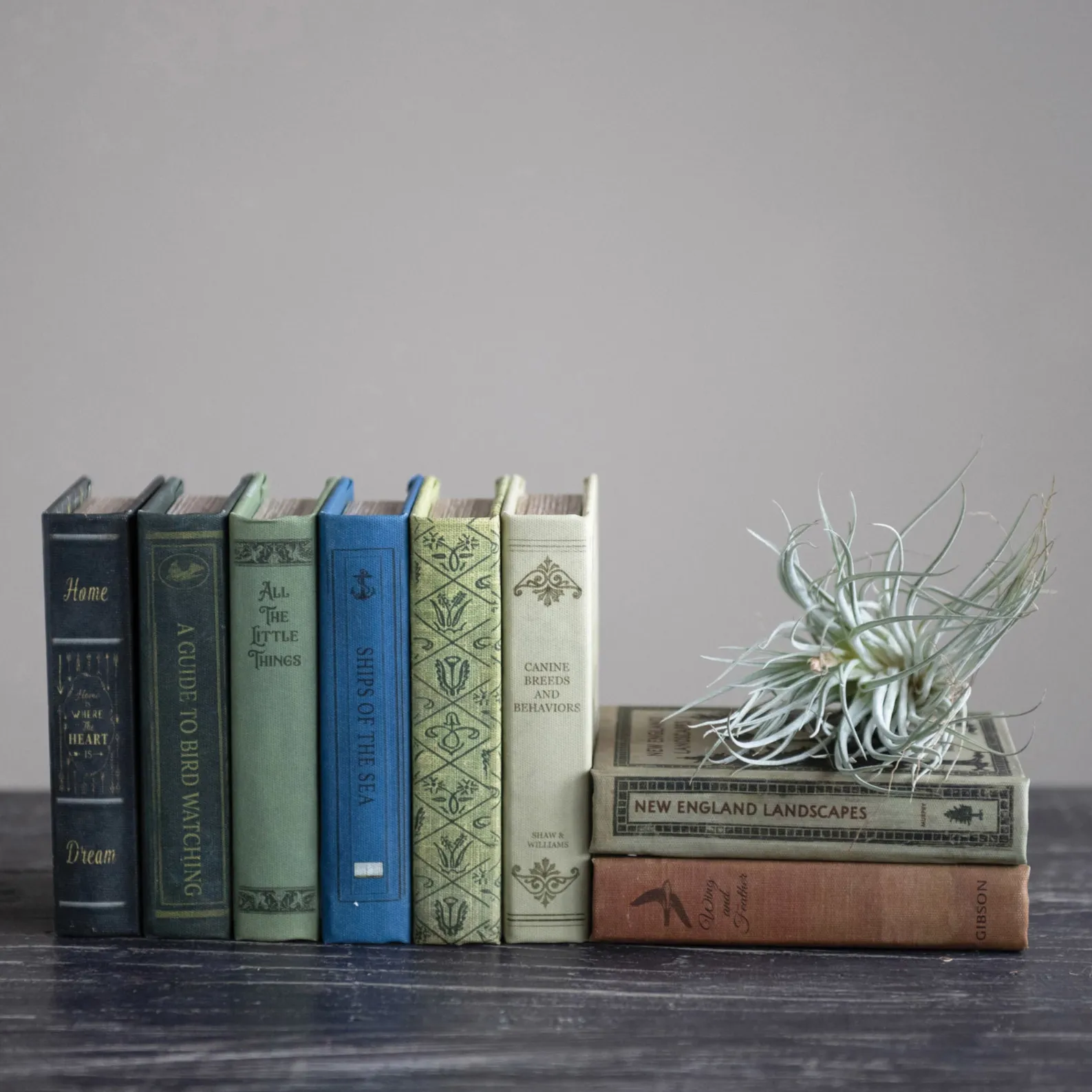 Decorative Book Storage Boxes {multiple styles}