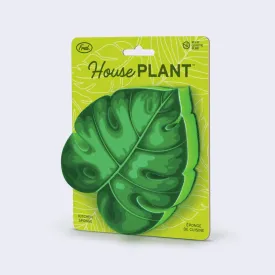 House Plant Monstera Leaf Sponge