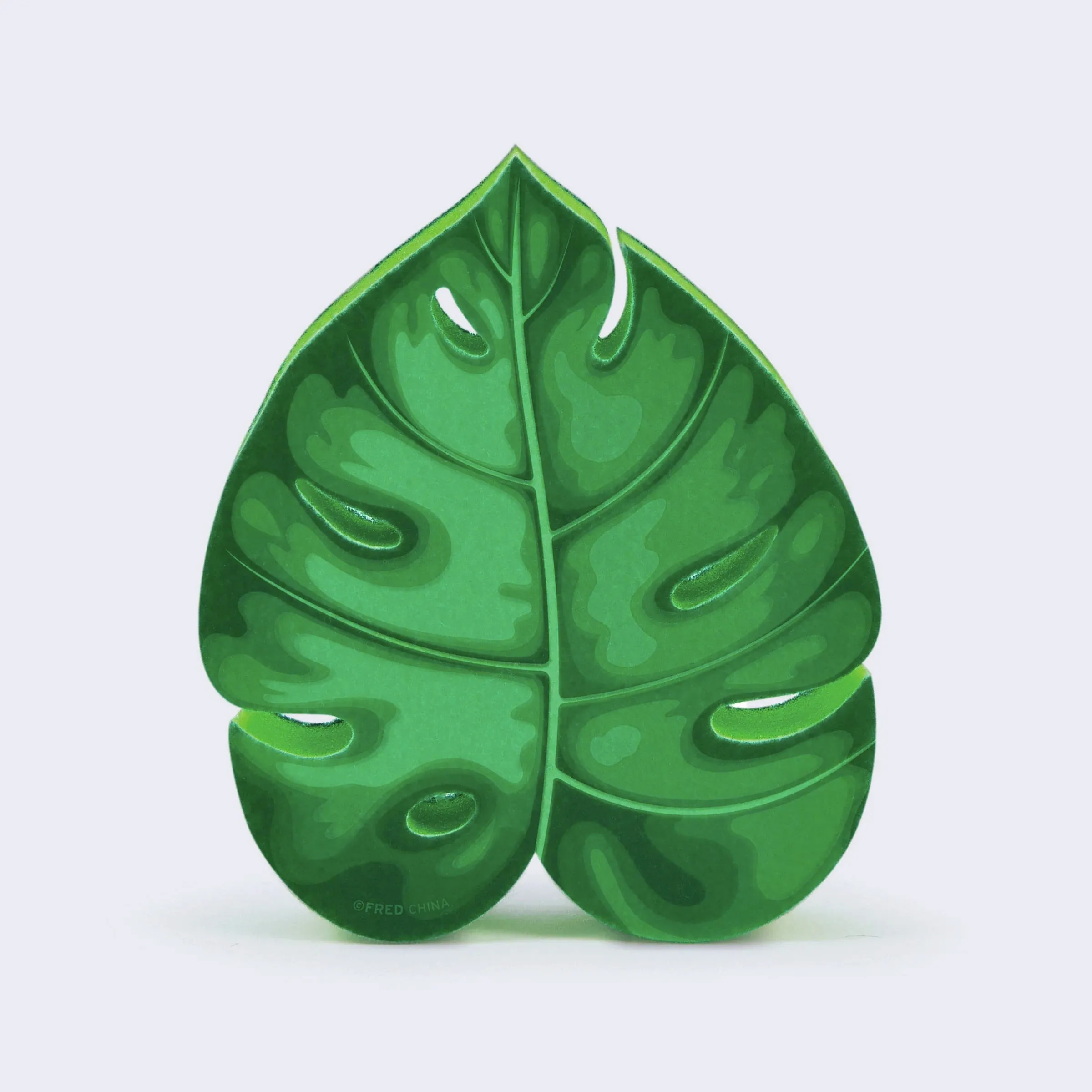 House Plant Monstera Leaf Sponge