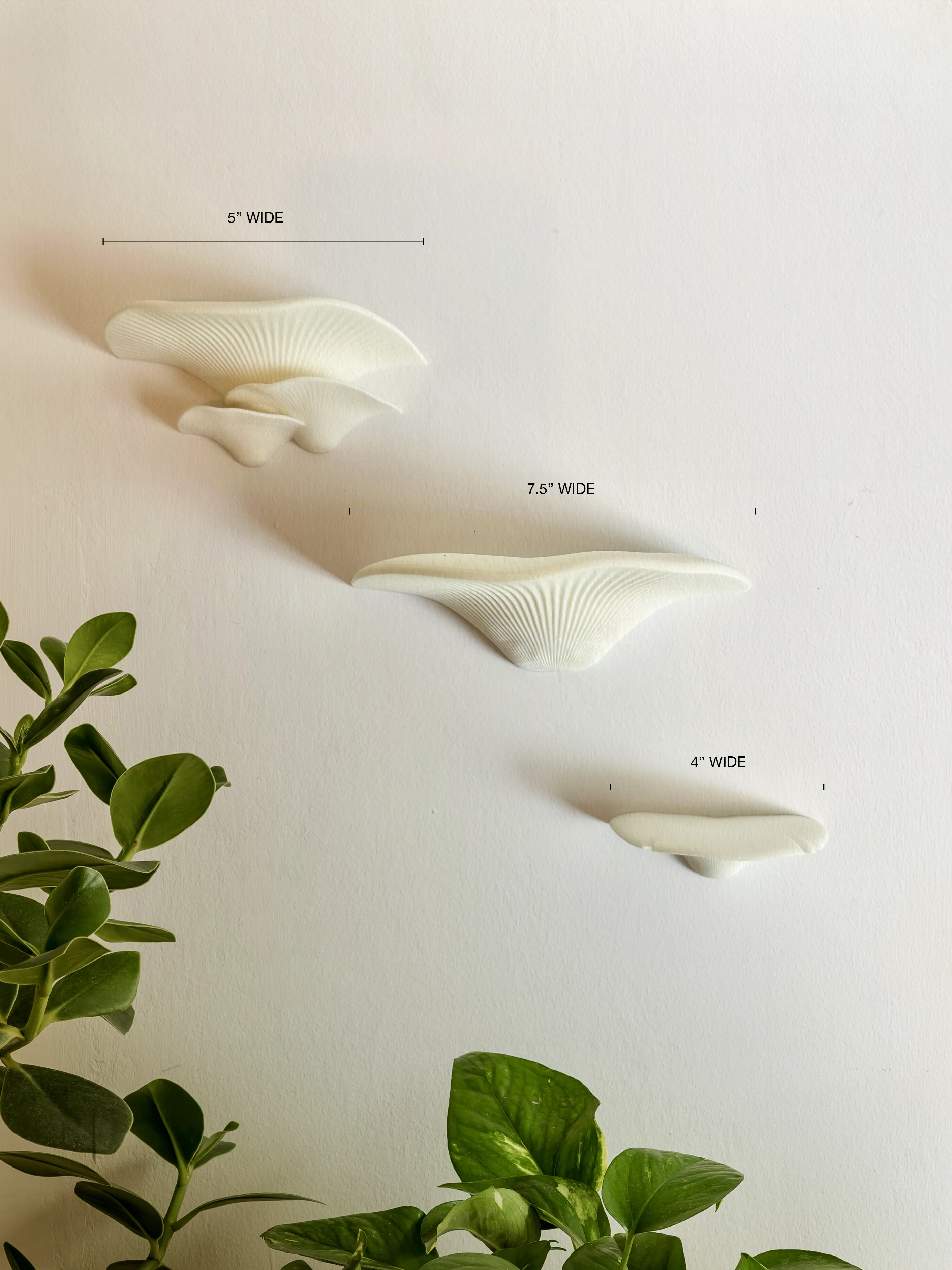 Mushroom Shelf Trio