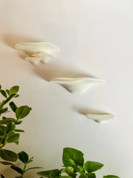 Mushroom Shelf Trio