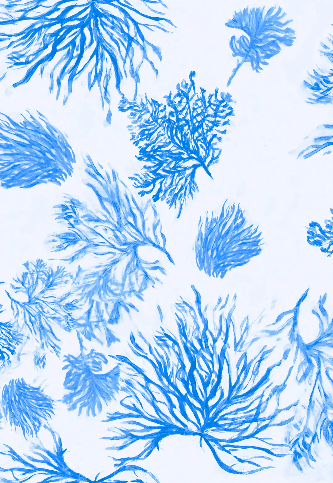 Rachel Sheer Poncho in Toile de Reef